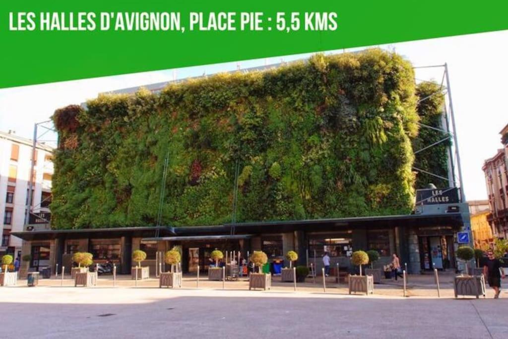 Ferienwohnung Le Figuier - Clim - Wifi Villeneuve-lès-Avignon Exterior foto